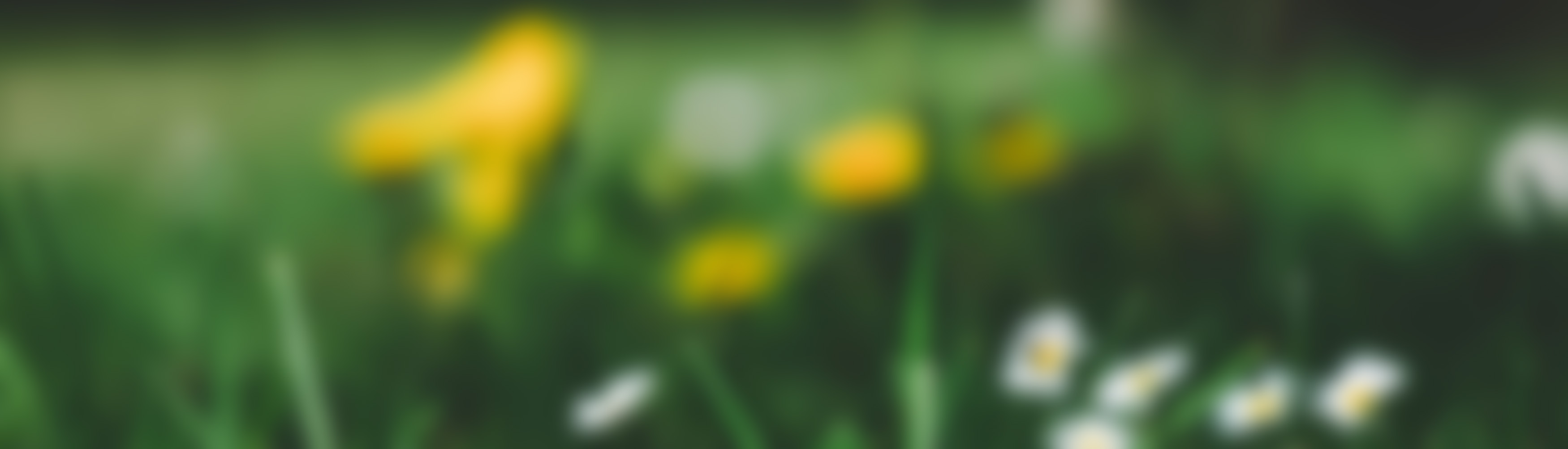backgrounds